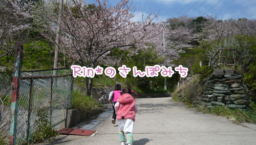 nnn024.jpg