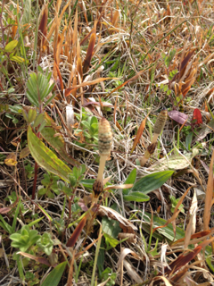 image-20120322092045.png